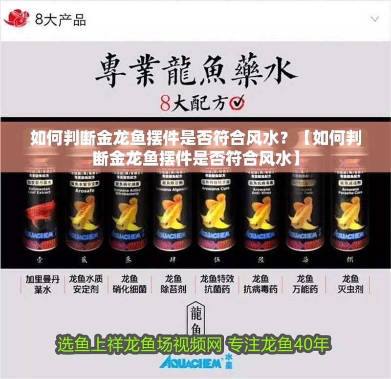 如何判斷金龍魚擺件是否符合風(fēng)水？【如何判斷金龍魚擺件是否符合風(fēng)水】 如何判斷金龍魚擺件是否符合風(fēng)水？【如何判斷金龍魚擺件是否符合風(fēng)水】 龍魚論壇