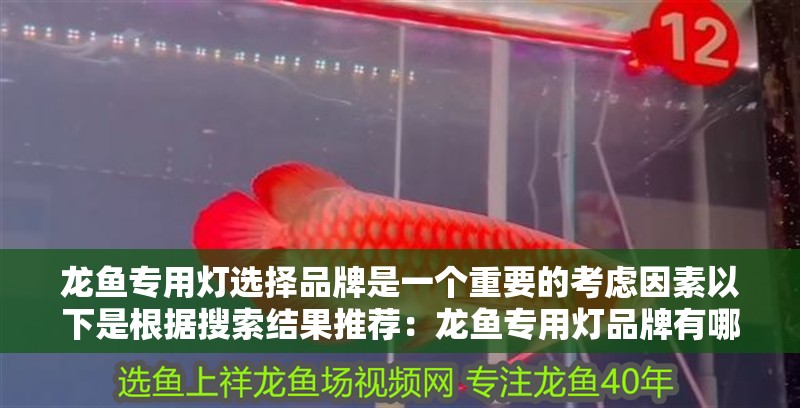 龍魚(yú)專(zhuān)用燈選擇品牌是一個(gè)重要的考慮因素以下是根據(jù)搜索結(jié)果推薦：龍魚(yú)專(zhuān)用燈品牌有哪些