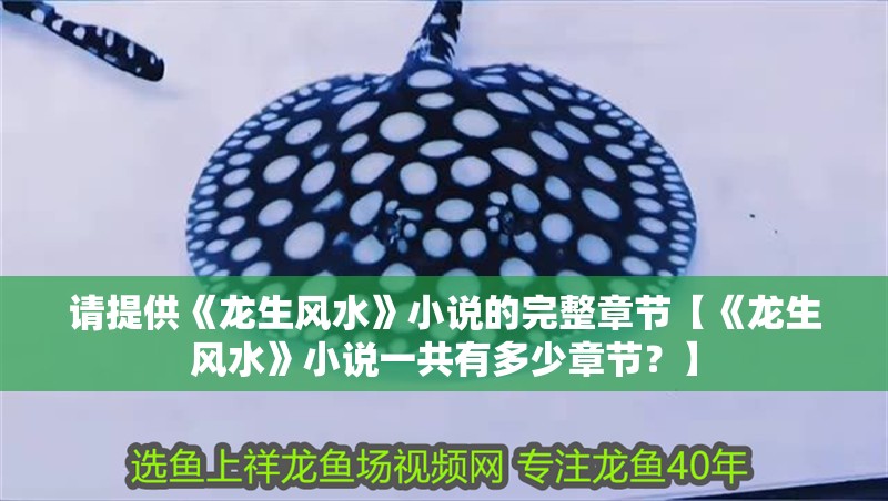 請(qǐng)?zhí)峁洱埳L(fēng)水》小說的完整章節(jié)【《龍生風(fēng)水》小說一共有多少章節(jié)？】