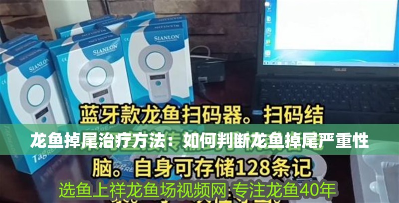 龍魚掉尾治療方法：如何判斷龍魚掉尾嚴重性