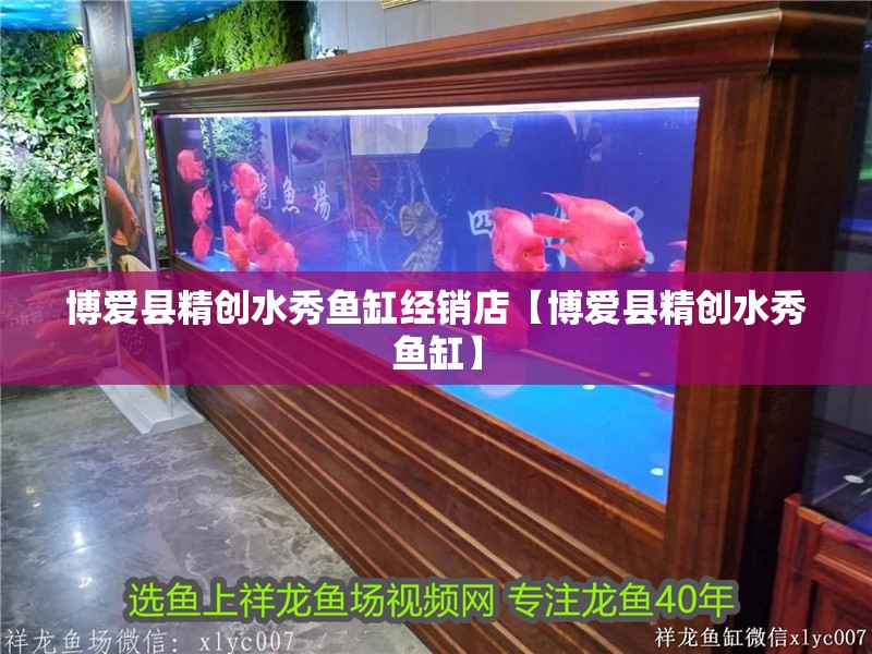 博愛縣精創(chuàng)水秀魚缸經(jīng)銷店【博愛縣精創(chuàng)水秀魚缸】