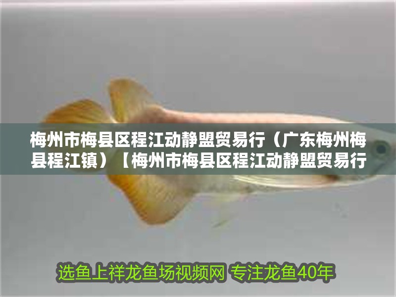 <strong><mark>梅州</mark></strong>市梅縣區程江動靜盟貿易行（廣東<strong><mark>梅州</mark></strong>梅縣程江鎮）【<strong><mark>梅州</mark></strong>市梅縣區程江動靜盟貿易行】