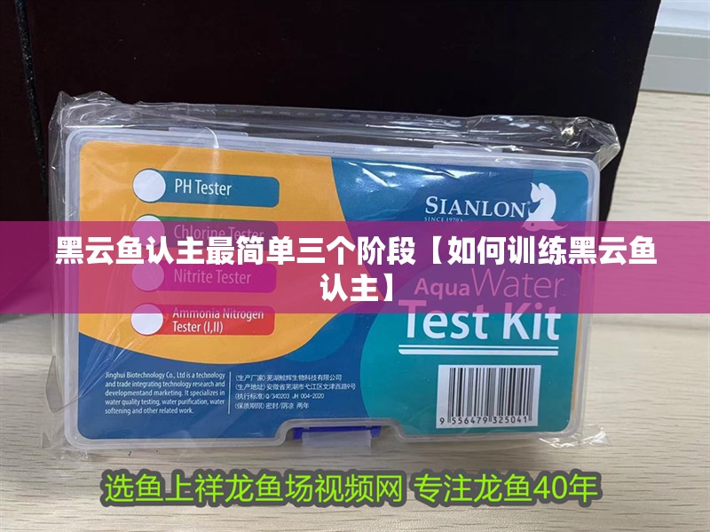 黑云魚認主最簡單三個階段【如何訓練黑云魚認主】