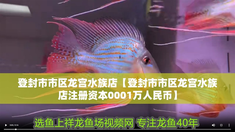 登封市市區龍宮水族店【登封市市區龍宮水族店注冊資本0001萬人民幣】