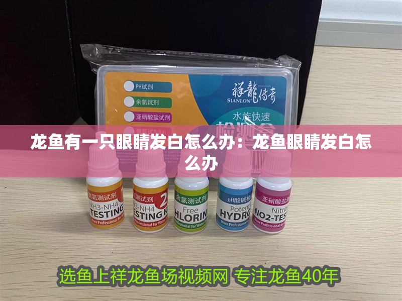 龍魚有一只眼睛發(fā)白怎么辦：龍魚眼睛發(fā)白怎么辦