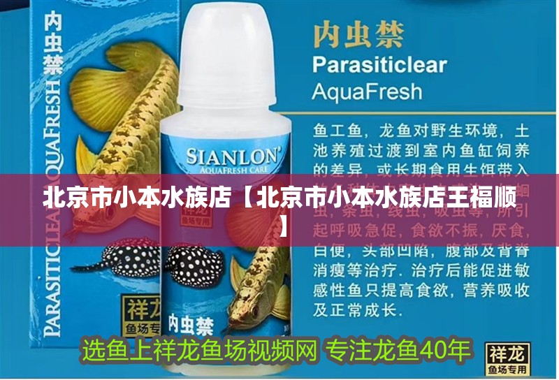 北京市小本水族店【北京市小本水族店王福順】