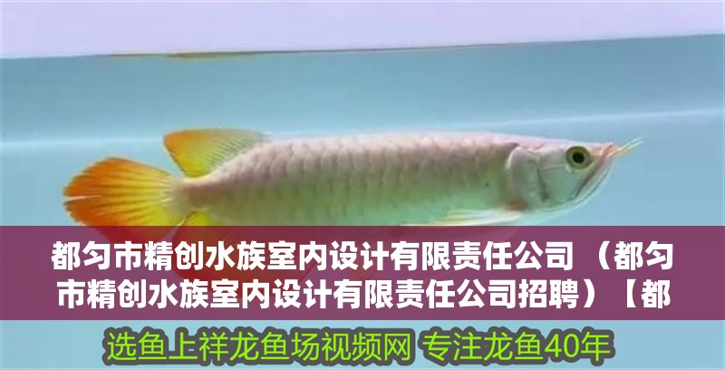 都勻市精創水族室內設計有限責任公司 （都勻市精創水族室內設計有限責任公司招聘）【都勻市水族室內設計有限責任公司招聘】
