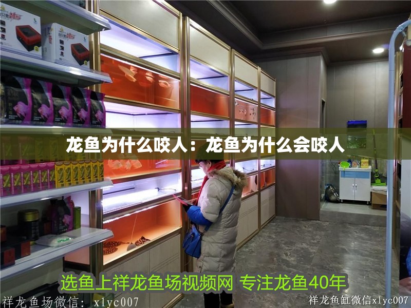 龍魚為什么咬人：龍魚為什么會咬人