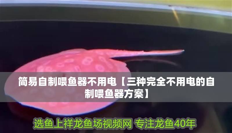 簡易自制喂魚器不用電【三種完全不用電的自制喂魚器方案】