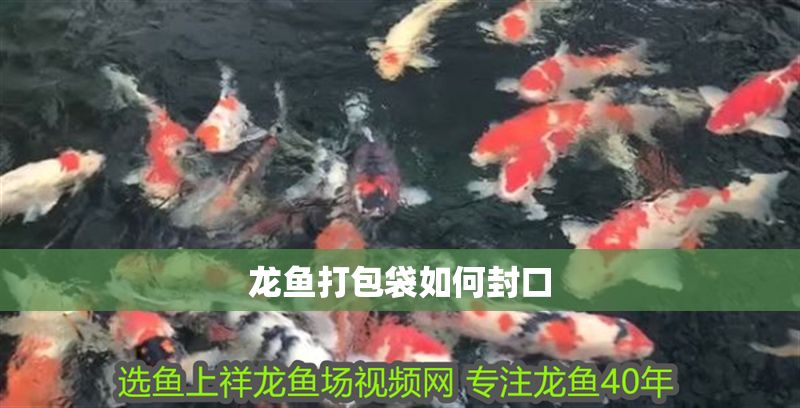 龍魚打包袋如何封口
