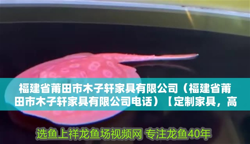 <strong><mark>福建</mark></strong>省莆田市木子軒家具有限公司（<strong><mark>福建</mark></strong>省莆田市木子軒家具有限公司電話）【定制家具，高品質家具】