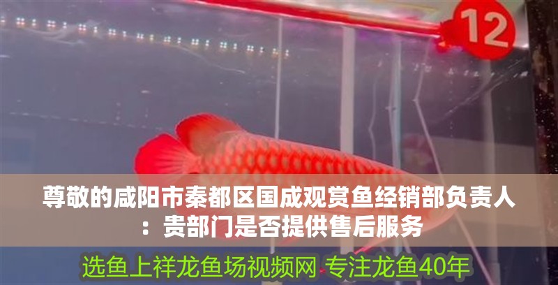 尊敬的咸陽市<strong><mark>秦都</mark></strong>區國成觀賞魚經銷部負責人：貴部門是否提供售后服務