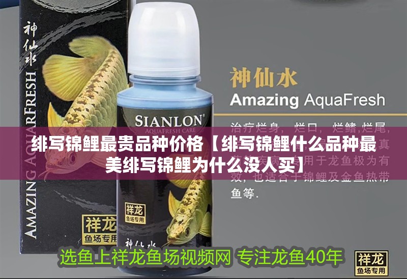 緋寫錦鯉最貴品種價(jià)格【緋寫錦鯉什么品種最美緋寫錦鯉為什么沒人買】