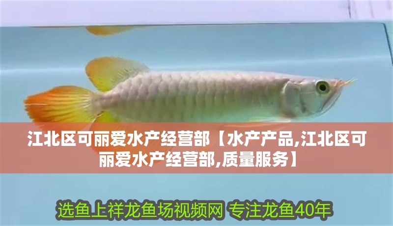 江北區可麗愛水產經營部【水產產品,江北區可麗愛水產經營部,質量服務】 江北區可麗愛水產經營部【水產產品,江北區可麗愛水產經營部,質量服務】 全國水族館企業名錄