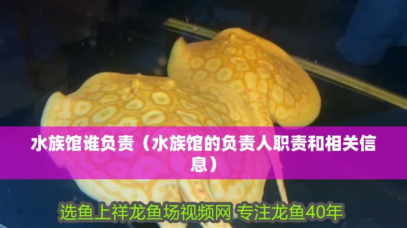 水族館誰負責（水族館的負責人職責和相關信息） 水族館誰負責（水族館的負責人職責和相關信息） 水族館百科（水族館加盟） 第1張