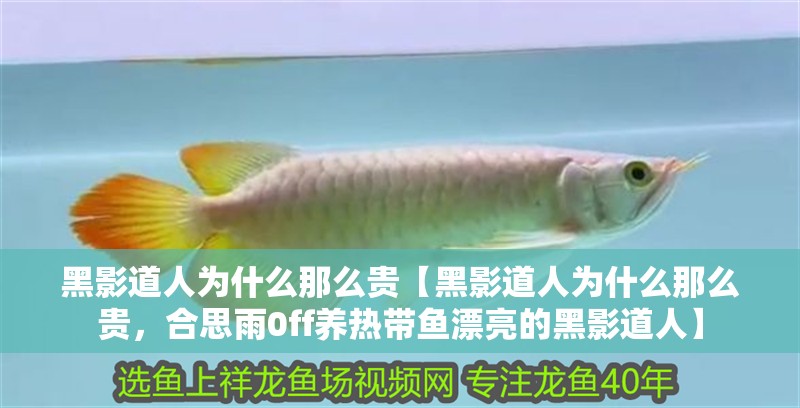 魚缸用增氧泵價格是多少:魚缸增氧機-xtrac增氧機-xtrac增氧機 黑影道人為什么那么貴【黑影道人為什么那么貴,合思雨0ff養熱帶魚漂亮的黑影道人】 龍魚論壇 黑影道人為什么那么貴【黑影道人為什么那么貴,合思雨0ff養熱帶魚漂亮的黑影道人】 黑影道人為什么那么貴【黑影道人為什么那么貴,合思雨0ff養熱帶魚漂亮的黑影道人】 龍魚論壇