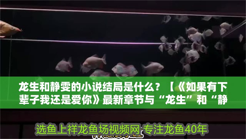 龍生和靜雯的小說結(jié)局是什么？【《如果有下輩子我還是愛你》最新章節(jié)與“龍生”和“靜雯”結(jié)局】