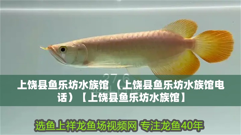 上饒縣魚樂坊水族館 （上饒縣魚樂坊水族館電話）【上饒縣魚樂坊水族館】 上饒縣魚樂坊水族館 （上饒縣魚樂坊水族館電話）【上饒縣魚樂坊水族館】 全國水族館企業名錄