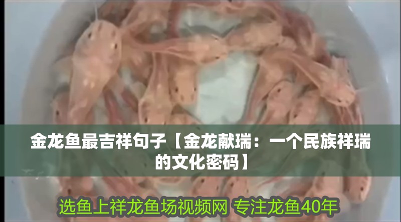 金龍魚最吉祥句子【金龍獻(xiàn)瑞：一個民族祥瑞的文化密碼】