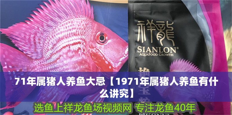 71年屬豬人養(yǎng)魚大忌【1971年屬豬人養(yǎng)魚有什么講究】 71年屬豬人養(yǎng)魚大忌【1971年屬豬人養(yǎng)魚有什么講究】 龍魚論壇