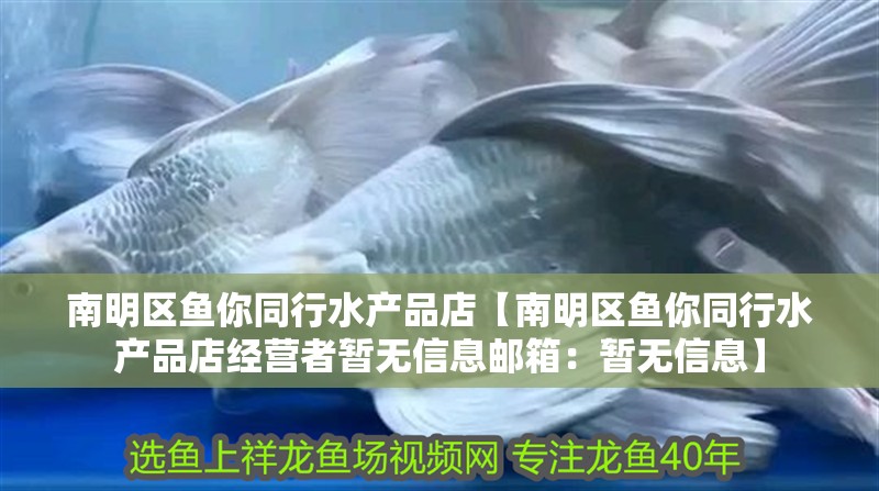 南明區魚你同行水產品店【南明區魚你同行水產品店經營者暫無信息郵箱：暫無信息】