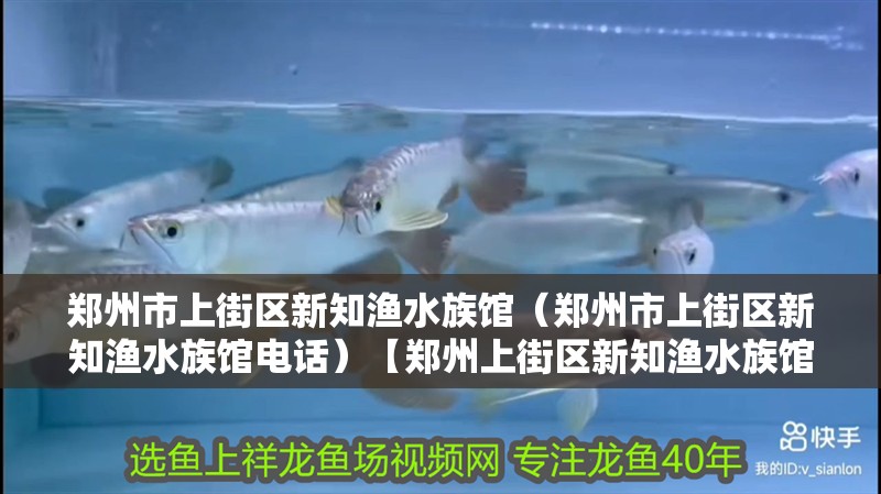 鄭州市上街區新知漁水族館（鄭州市上街區新知漁水族館電話）【鄭州上街區新知漁水族館】 鄭州市上街區新知漁水族館（鄭州市上街區新知漁水族館電話）【鄭州上街區新知漁水族館】 全國水族館企業名錄
