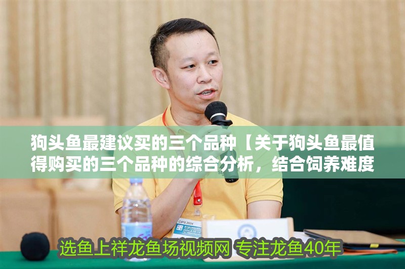 狗頭魚最建議買的三個品種【關于狗頭魚最值得購買的三個品種的綜合分析，結合飼養難度及觀賞價值等維度推薦】