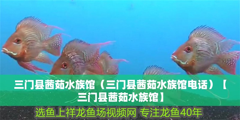 三門縣茜茹水族館（三門縣茜茹水族館電話）【三門縣茜茹水族館】