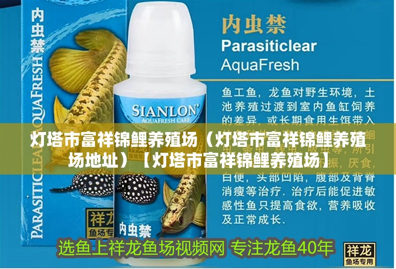 燈塔市富祥錦鯉養殖場（燈塔市富祥錦鯉養殖場地址）【燈塔市富祥錦鯉養殖場】