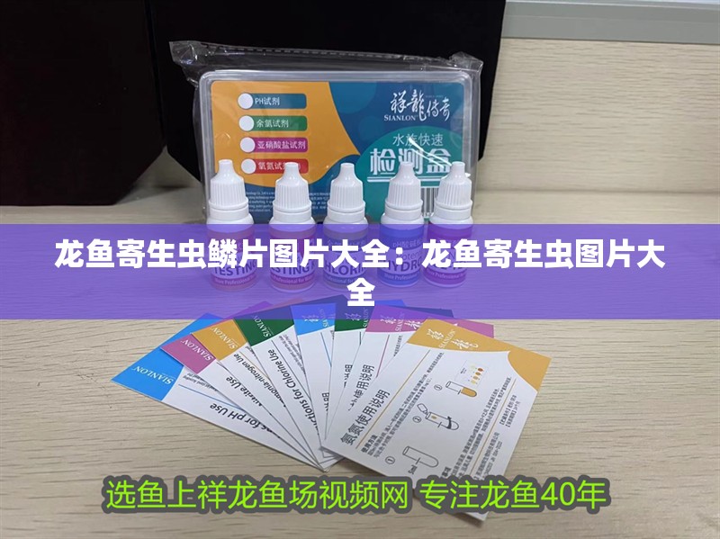 龍魚寄生蟲鱗片圖片大全：龍魚寄生蟲圖片大全