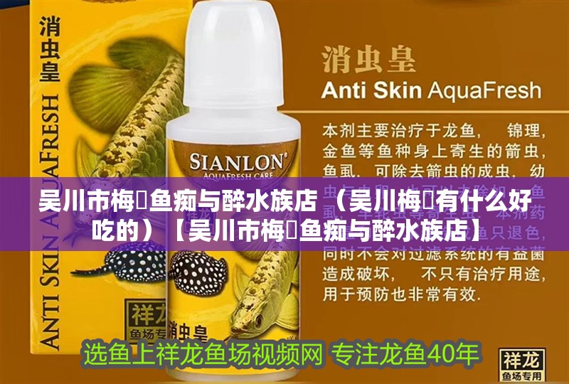 吳川市梅菉魚癡與醉水族店 （吳川梅菉有什么好吃的）【吳川市梅菉魚癡與醉水族店】