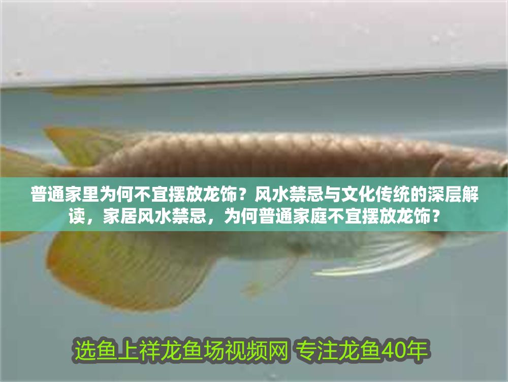 普通家里為何不宜擺放龍飾？風水禁忌與文化傳統的深層解讀，家居風水禁忌，為何普通家庭不宜擺放龍飾？