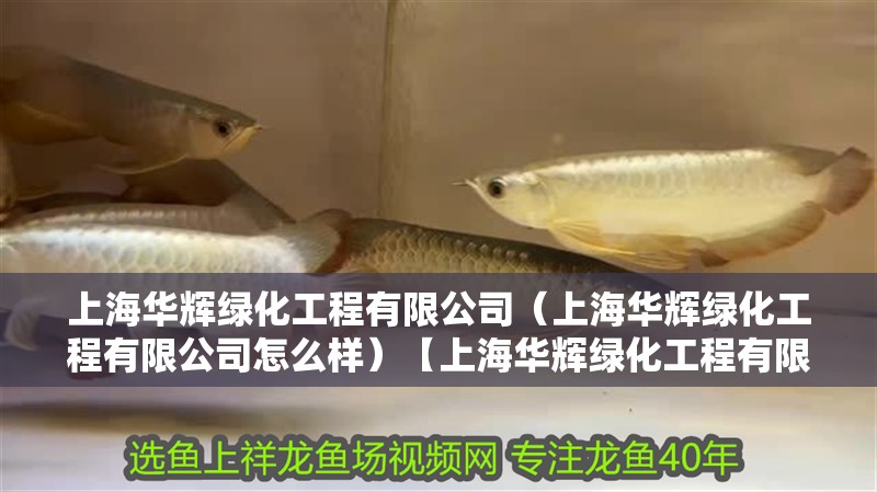 上海華輝綠化工程有限公司（上海華輝綠化工程有限公司怎么樣）【上海華輝綠化工程有限公司專業服務綠色環保美化城市】