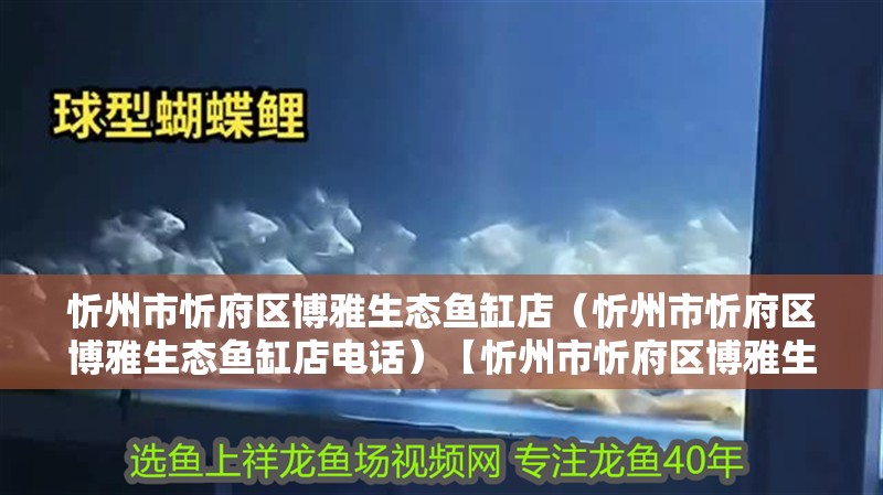 忻州市忻府區(qū)博雅生態(tài)魚缸店（忻州市忻府區(qū)博雅生態(tài)魚缸店電話）【忻州市忻府區(qū)博雅生態(tài)魚缸店火爆開業(yè)】