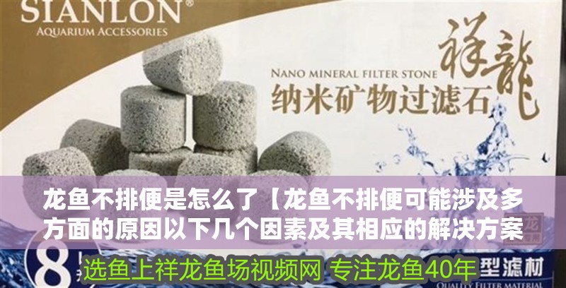 龍魚不排便是怎么了【龍魚不排便可能涉及多方面的原因以下幾個因素及其相應(yīng)的解決方案】 龍魚不排便是怎么了【龍魚不排便可能涉及多方面的原因以下幾個因素及其相應(yīng)的解決方案】 龍魚百科