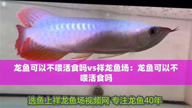 龍魚可以不喂活食嗎vs祥龍魚場：龍魚可以不喂活食嗎