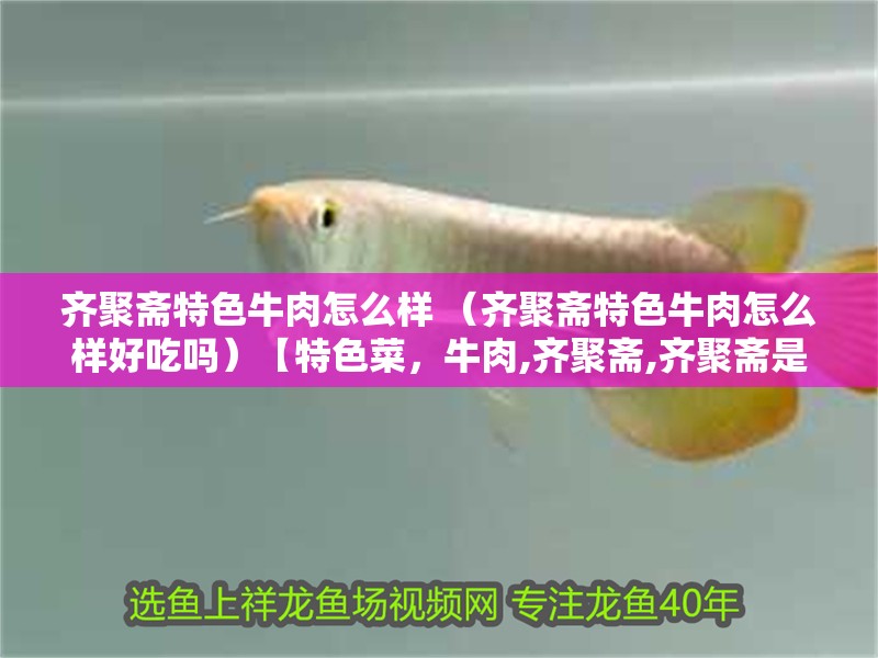 齊聚齋特色牛肉怎么樣 （齊聚齋特色牛肉怎么樣好吃嗎）【特色菜，牛肉,齊聚齋,齊聚齋是一家以素食為主的餐飲品牌】 齊聚齋特色牛肉怎么樣 （齊聚齋特色牛肉怎么樣好吃嗎）【特色菜，牛肉,齊聚齋,齊聚齋是一家以素食為主的餐飲品牌】 全國水族館企業名錄