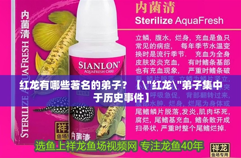 紅龍有哪些著名的弟子？【\