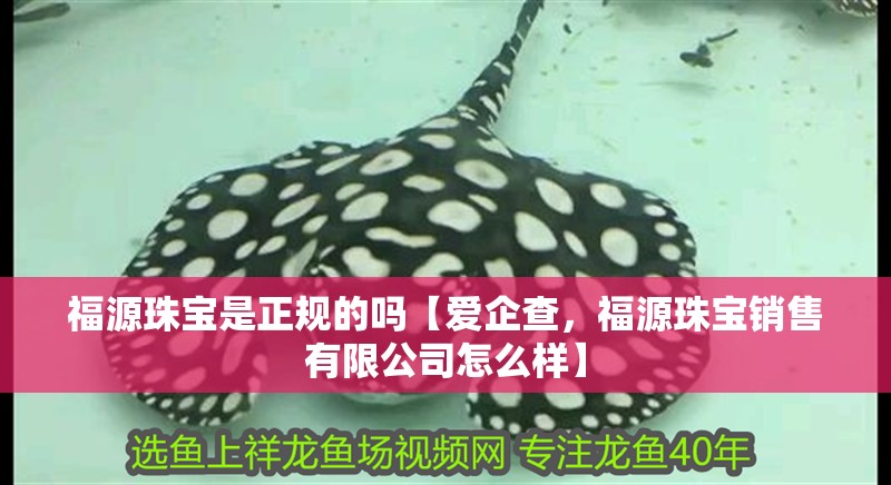 福源珠寶是正規(guī)的嗎【愛(ài)企查，福源珠寶銷售有限公司怎么樣】