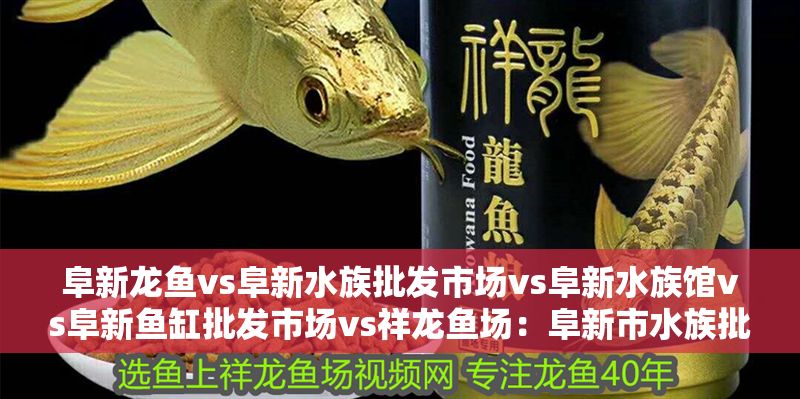 阜新龍魚vs阜新水族批發(fā)市場(chǎng)vs阜新水族館vs阜新魚缸批發(fā)市場(chǎng)vs祥龍魚場(chǎng)：阜新市水族批發(fā)市場(chǎng)