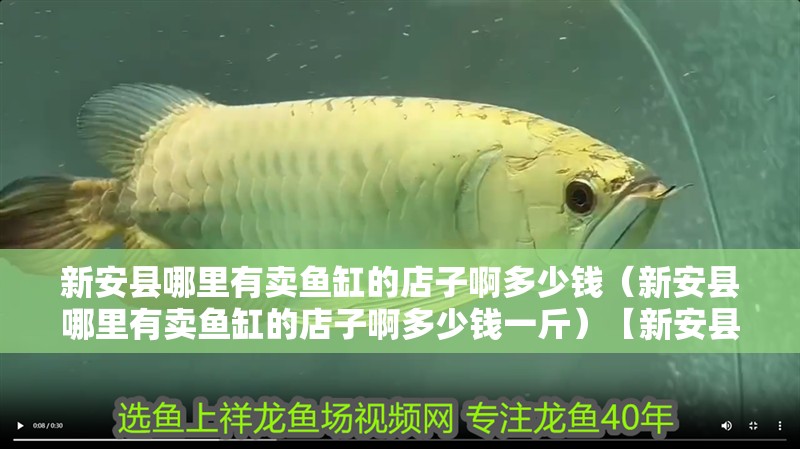 新安縣哪里有賣(mài)魚(yú)缸的店子啊多少錢(qián)（新安縣哪里有賣(mài)魚(yú)缸的店子啊多少錢(qián)一斤）【新安縣哪里有賣(mài)魚(yú)缸的店子】 新安縣哪里有賣(mài)魚(yú)缸的店子啊多少錢(qián)（新安縣哪里有賣(mài)魚(yú)缸的店子啊多少錢(qián)一斤）【新安縣哪里有賣(mài)魚(yú)缸的店子】 全國(guó)水族館企業(yè)名錄