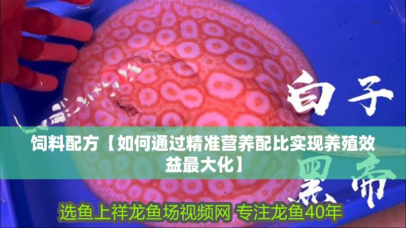 飼料配方【如何通過精準營養配比實現養殖效益最大化】