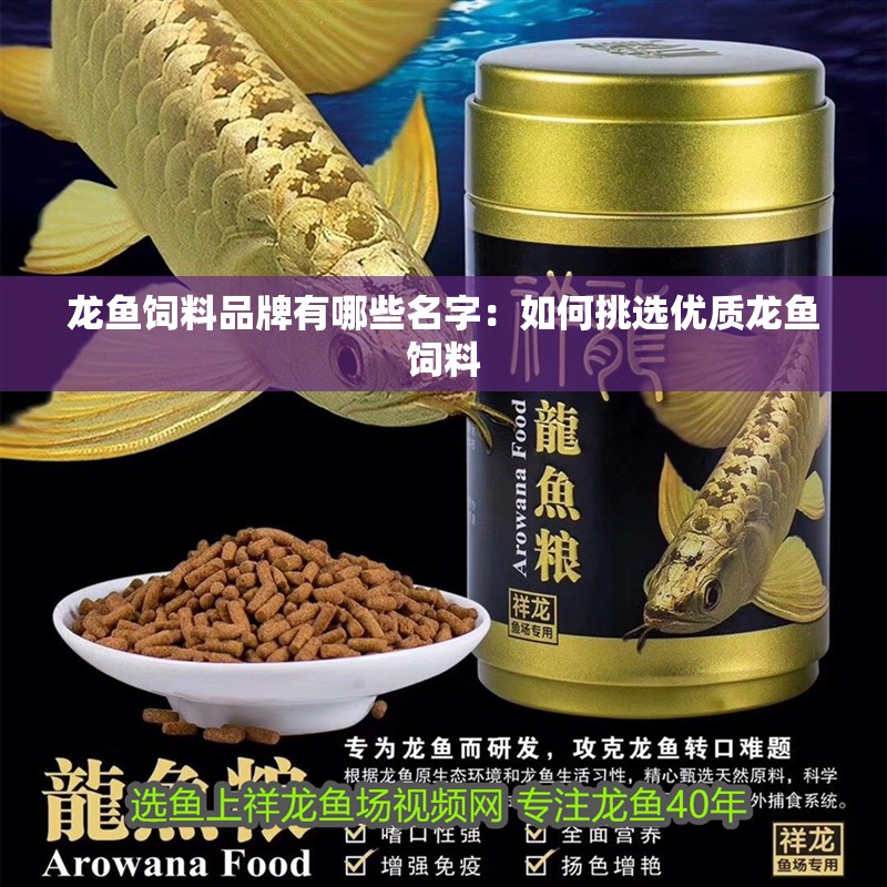 龍魚飼料品牌有哪些名字：如何挑選優質龍魚飼料