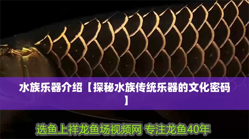 水族樂器介紹【探秘水族傳統樂器的文化密碼】