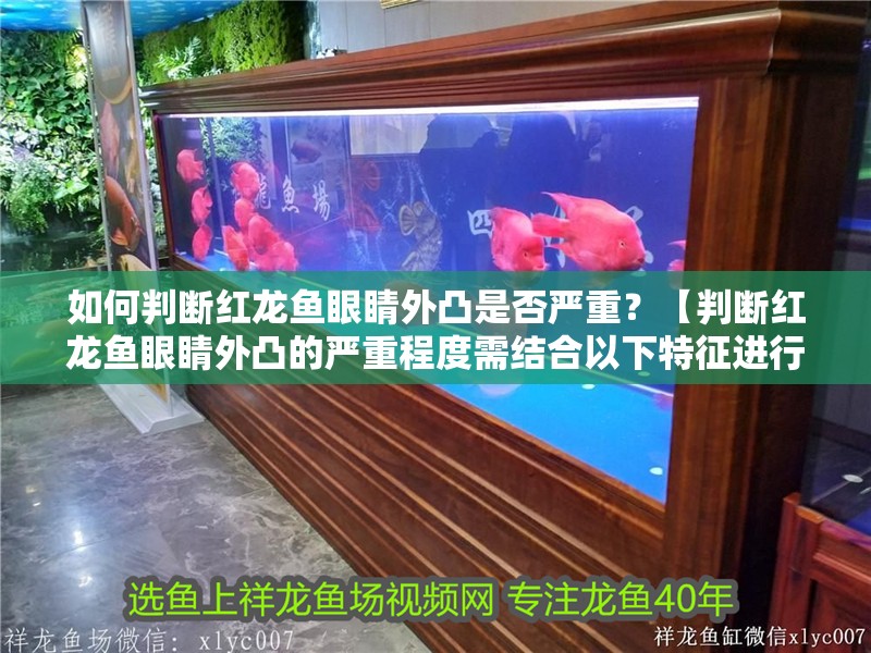 如何判斷紅龍魚(yú)眼睛外凸是否嚴(yán)重？【判斷紅龍魚(yú)眼睛外凸的嚴(yán)重程度需結(jié)合以下特征進(jìn)行評(píng)估】