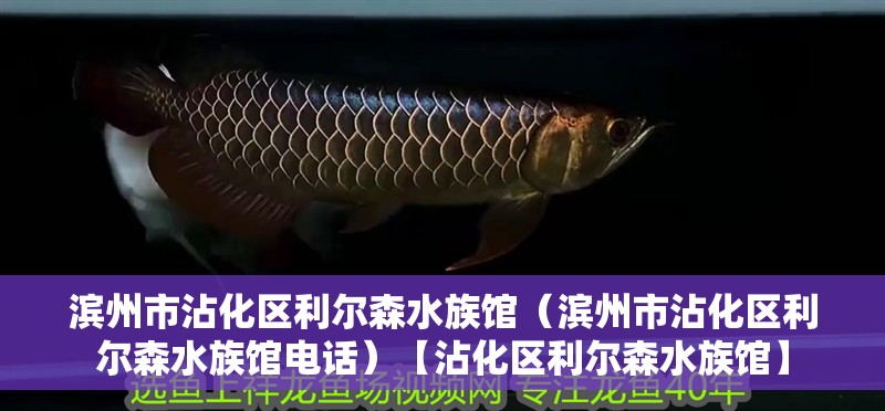 濱州市<strong><mark>沾化</mark></strong>區利爾森水族館（濱州市<strong><mark>沾化</mark></strong>區利爾森水族館電話）【<strong><mark>沾化</mark></strong>區利爾森水族館】