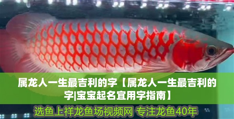 屬龍人一生最<strong><mark>吉利</mark></strong>的字【屬龍人一生最<strong><mark>吉利</mark></strong>的字|寶寶起名宜用字指南】