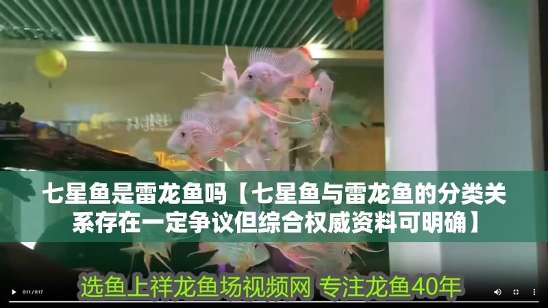 七星魚是雷龍魚嗎【七星魚與雷龍魚的分類關(guān)系存在一定爭議但綜合權(quán)威資料可明確】