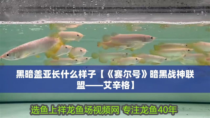 黑暗蓋亞長什么樣子【《賽爾號》暗黑戰(zhàn)神聯(lián)盟——艾辛格】