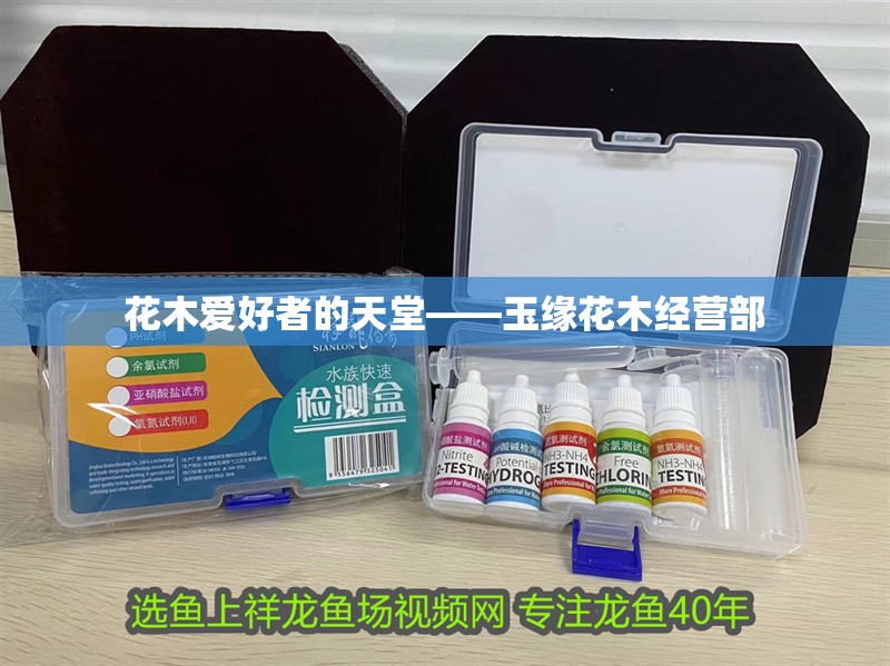 花木愛好者的天堂——玉緣花木經營部